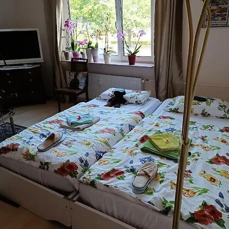 Schönes Gästezimmer LGBTQ freundlich Berlin Exterior foto