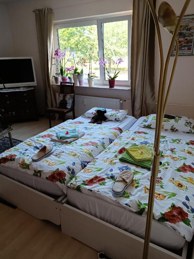 Weltoffenes Privates Gaestezimmer Bei Lgbtq Freundlichen Gastgeber Der Mit In Der Lebt Habitación en casa particular